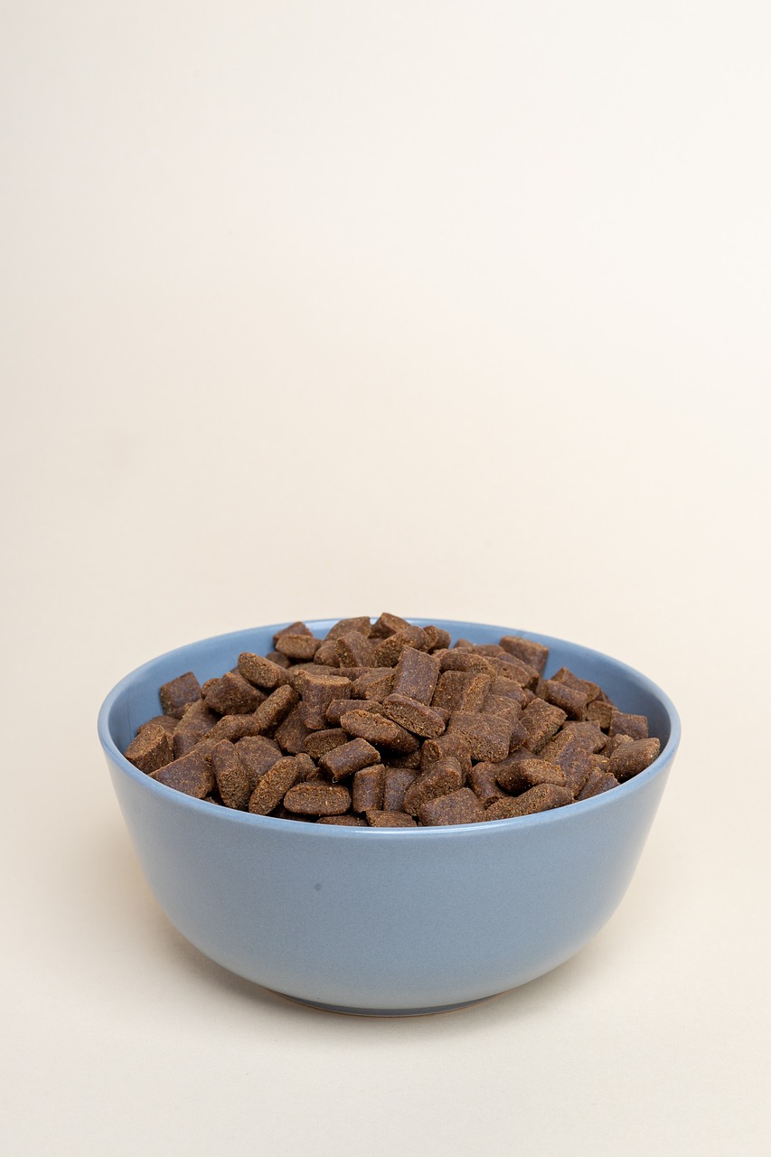 dry dog food, dog food, dog kibble, kibble, dog food, dog food, dog food, dog food, dog kibble, kibble, kibble, kibble, kibble, kibble