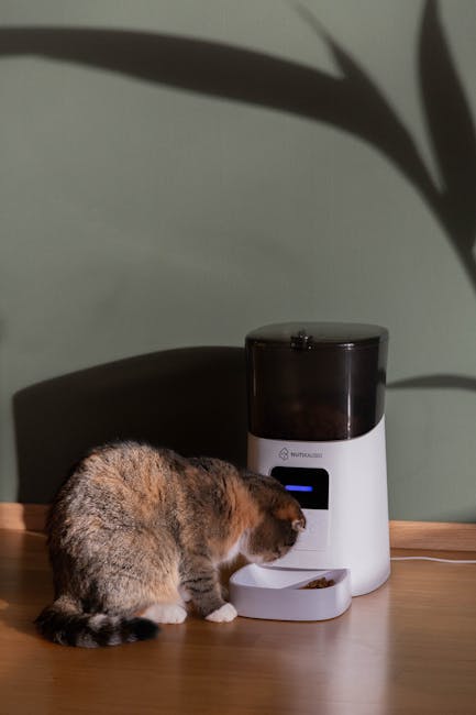 pexels-photo-20109379-20109379 A tabby cat enjoys its meal from an automatic feeder, casting a cozy light.